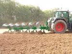 Ploughs Regent